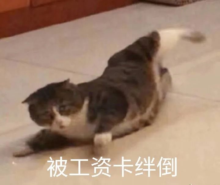 DƬ